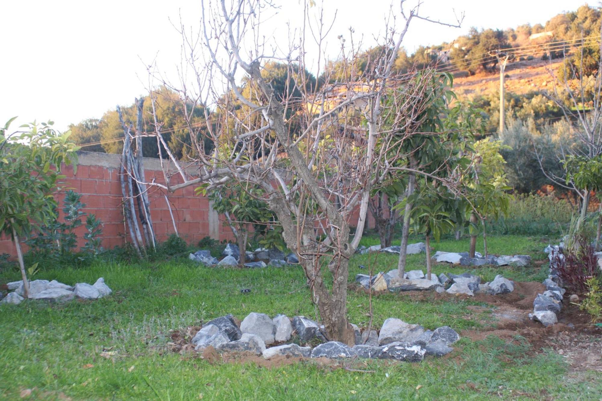Villa Privee Reservee Aux Familles Aroggou Exterior photo